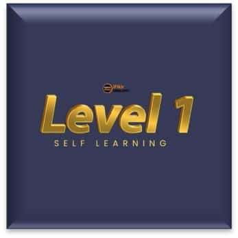 Level 1 - self learning logo